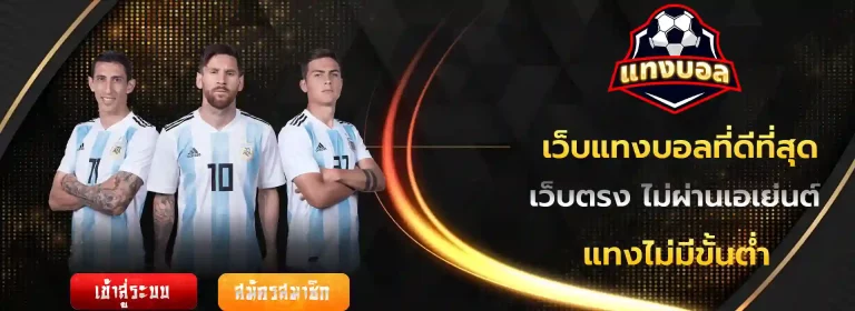 เว็บแทงบอลดีๆ มือถือ